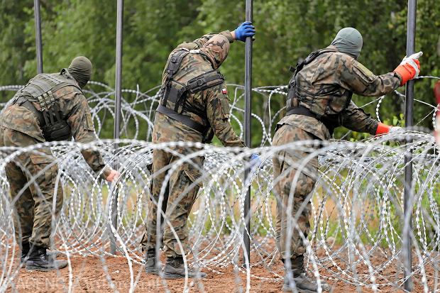 Польша укрепляет границу с Беларусью из-за перемещения "вагнеровцев".