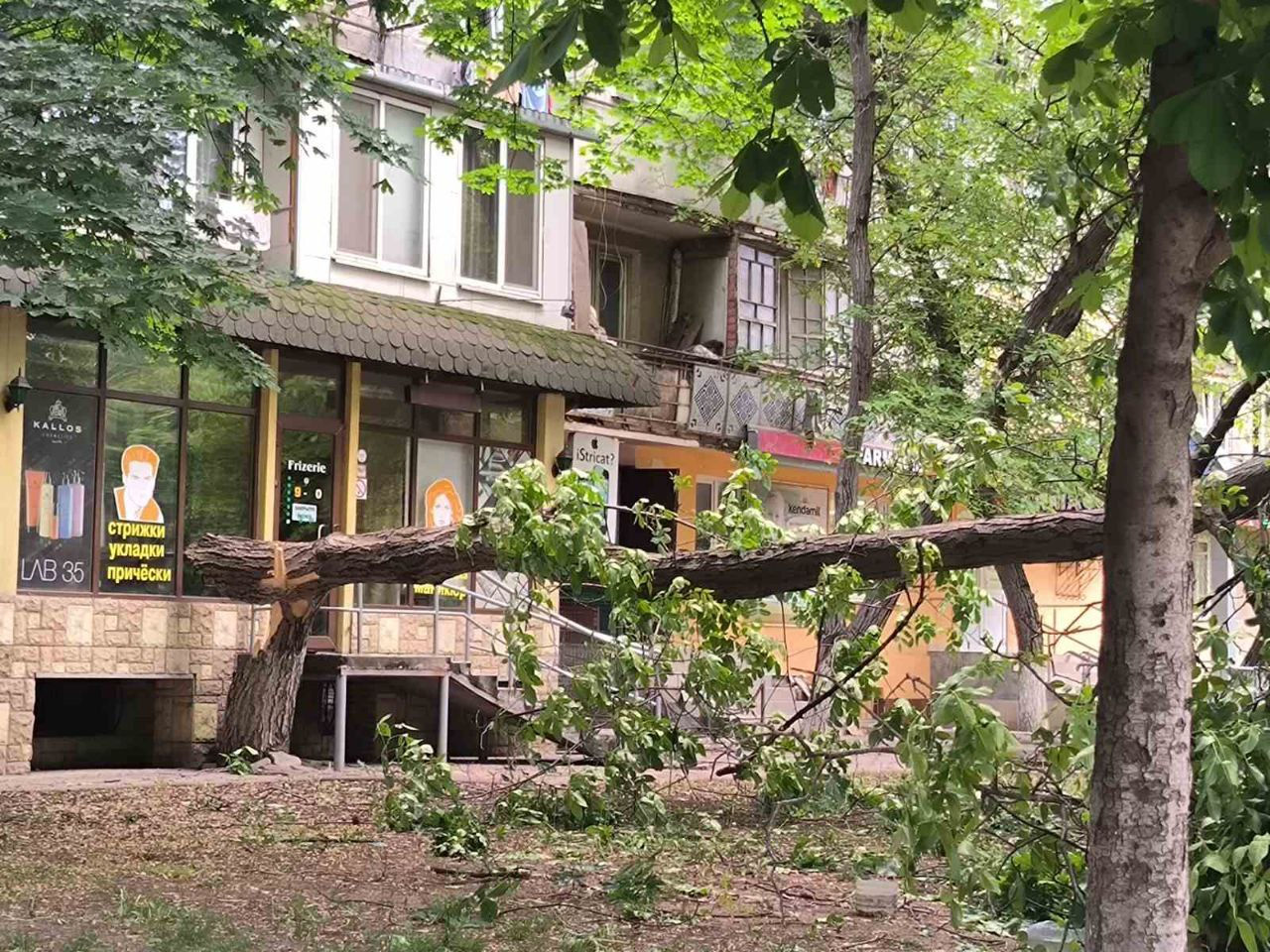 Consecințele vântului puternic la Chișinău: Copacii căzuți și crengile rupte au fost îndepărtate.
