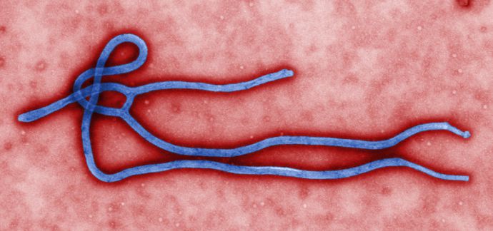 Numărul deceselor cauzate de epidemia de febră hemoragică Ebola a depăşit pragul de 5 mii, fiind înregistraţi 5.160 de morţi din 14.098 de cazuri, potrivit unui ultim bilanţ al OMS, relatează AFP.