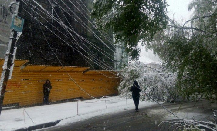 Минсельхоз отметил, что нужно подождать еще 4-5 дней. Фото:moldovanews.md