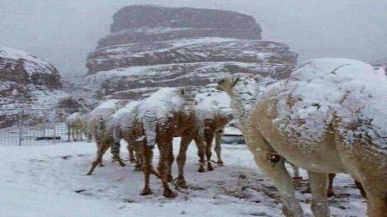 Fenomen rar: O regiune din Arabia Saudită, acoperită de zăpadă