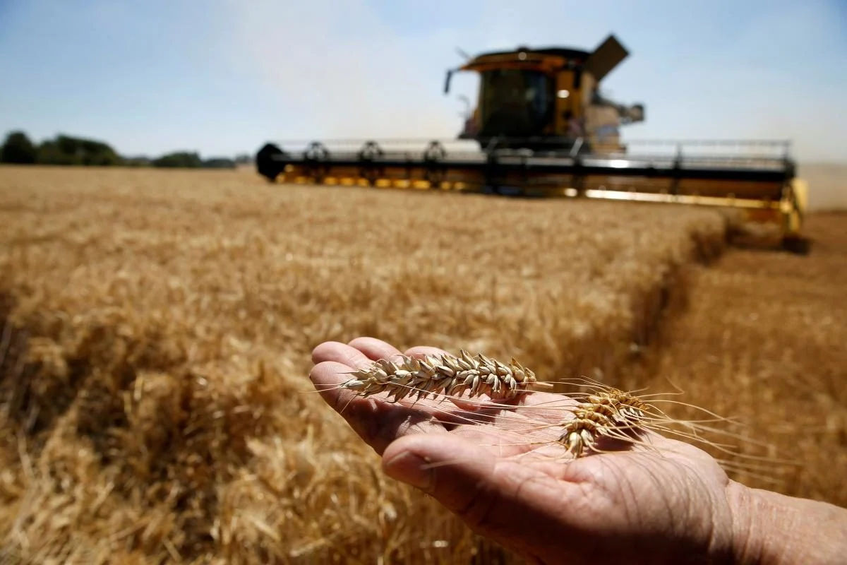 Украина готова изменить правила экспорта агропродукции в пять стран ЕС.