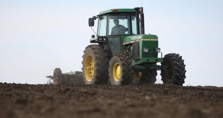 Un agricultor şi-a găsit grâul arat.