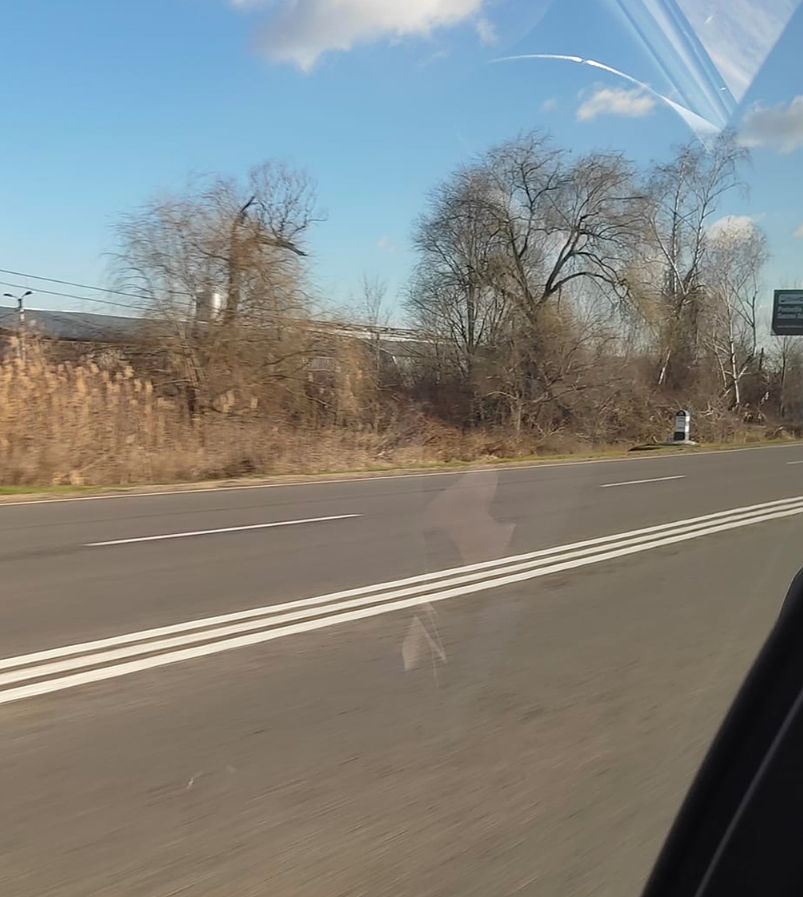 В Молдове на трассу нанесли тройную сплошную разметку.