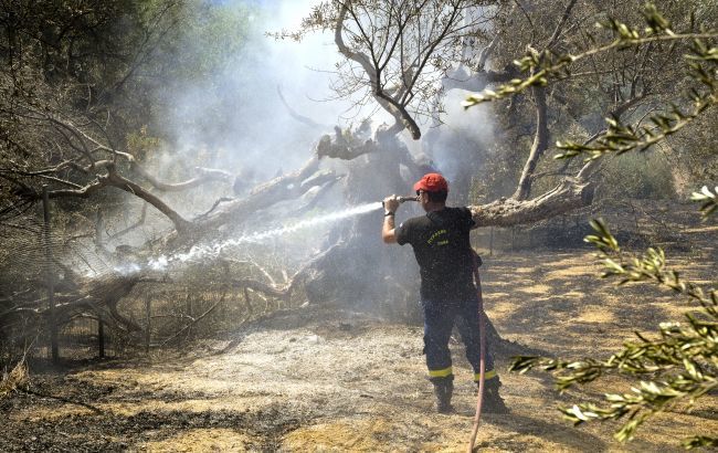 В Греции арестовали двух подозреваемых в поджоге лесов.