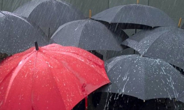 Ploi pe tot teritoriul ţării şi temperaturi de până la 10 grade. Foto: ziarmm.ro