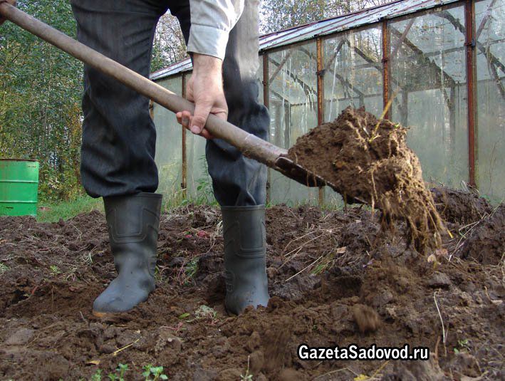 Согласно сообщению медиков, парня засыпало землей.