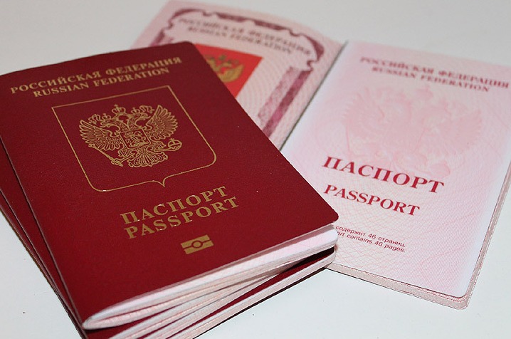 Комитет Госдумы по делам национальностей одобрил законопроект, упрощающий получение российского гражданства для носителей русского языка. 
