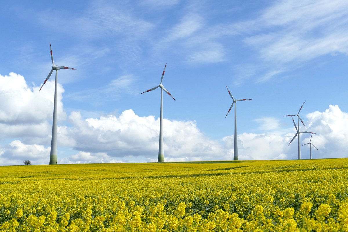 Energocom: În 2024, aproape în fiecare lună a fost generată de două ori mai multă energie verde.