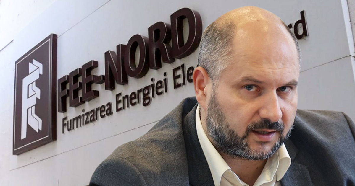 Парликов: Правительство готовит приватизацию RED-Nord и FEE-Nord.