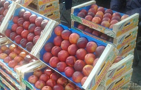 Ставка ввозной пошлины на персики и нектарины - 10 центов США за 1 кг.