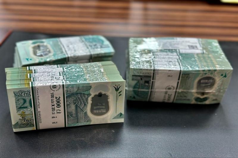 Полимерную купюру со знаками для слабовидящих ввели в Египте.