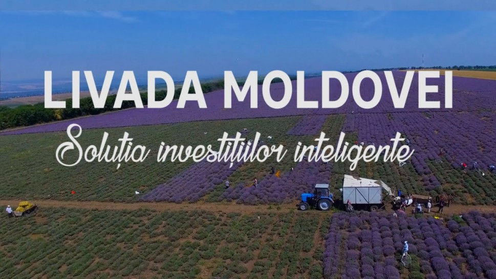 СП выявила недостатки в управлении проектом Livada Moldovei.