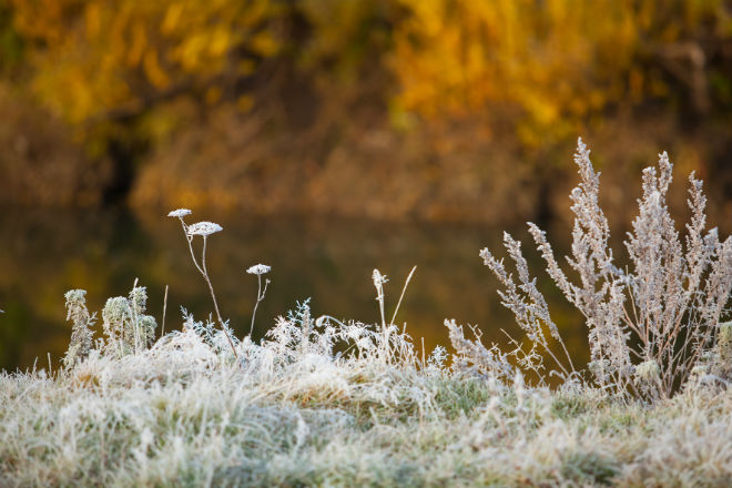 В Молдове резко похолодает. Фото: gismeteo.ru