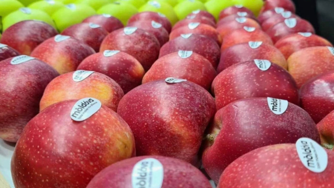 Exporturile de fructe moldovenești s-ar putea reduce la jumătate în noul sezon.