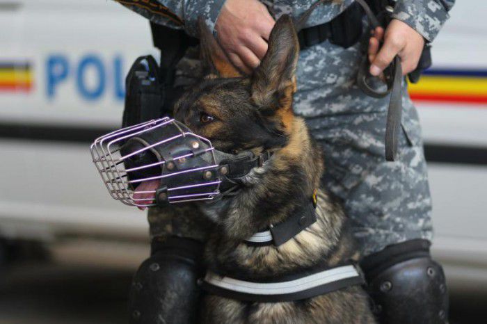 Timp de 72 de ore reprezentanții Inspectoratului General de Poliție vor verifica toate clădirile abandonate. Foto: ziare.com