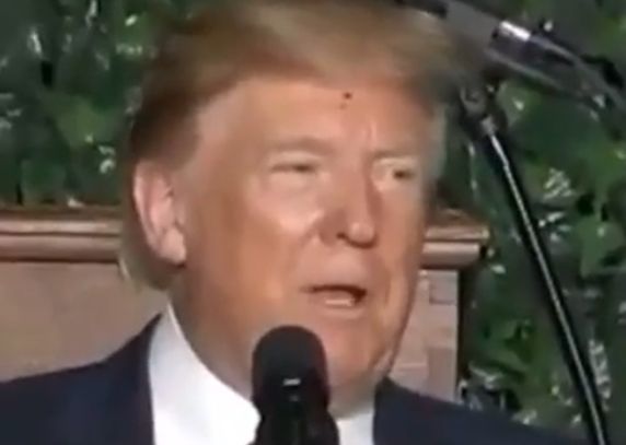 Ползавший по Трампу жук рассмешил пользователей Сети.