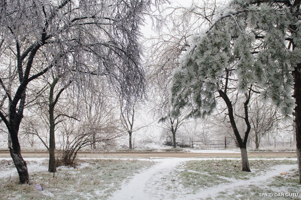 Potrivit meteorologilor, pe 20 și 21 aprilie, sunt prognozate precipitații puternice sub formă de ploi și lapoviță.