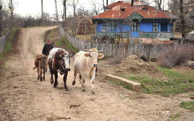 În R. Moldova există opt sate cu puțin peste 200, 300 și 400 de locuitori. 