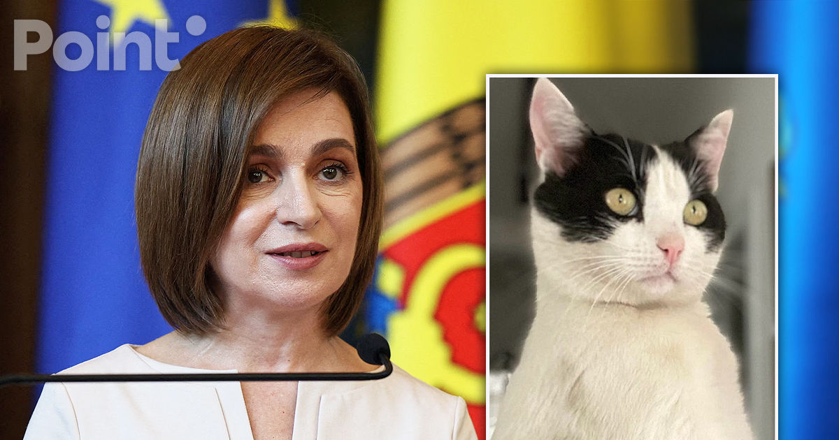 Sandu a publicat o fotografie cu pisica sa, după cuvintele lui Stoianoglo: Jo, consternat de declarațiile unor candidați.