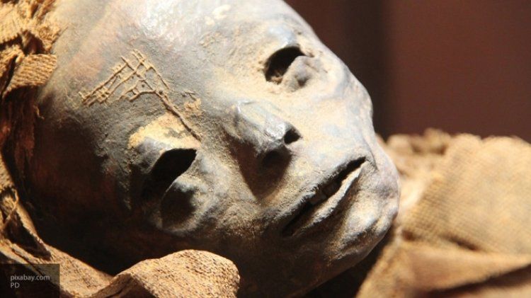 Стала известна национальность загадочных ямальских мумий.