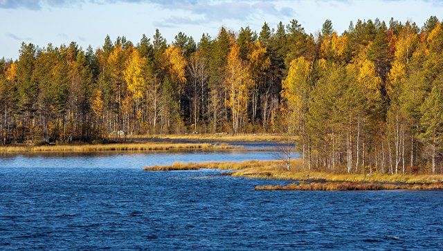 Финские националисты потребовали вернуть Карелию.