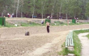 В течение 2-3 дней во всех кишиневских зонах отдыха будет подключена вода.