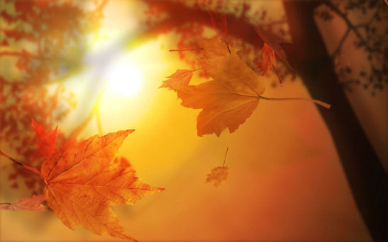 Meteorologii anunță pentru azi maxime termice generoase. Detalii. Foto: rumiscircle.com 