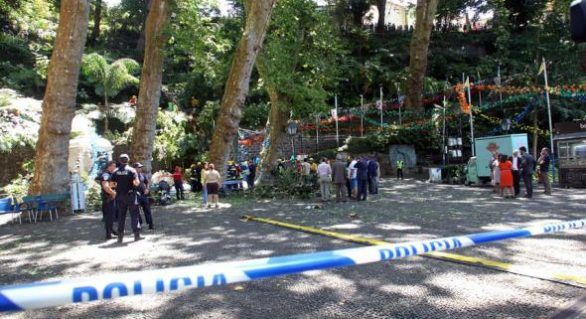 11 oameni, uciși de un copac la o slujbă religioasă din Portugalia. 