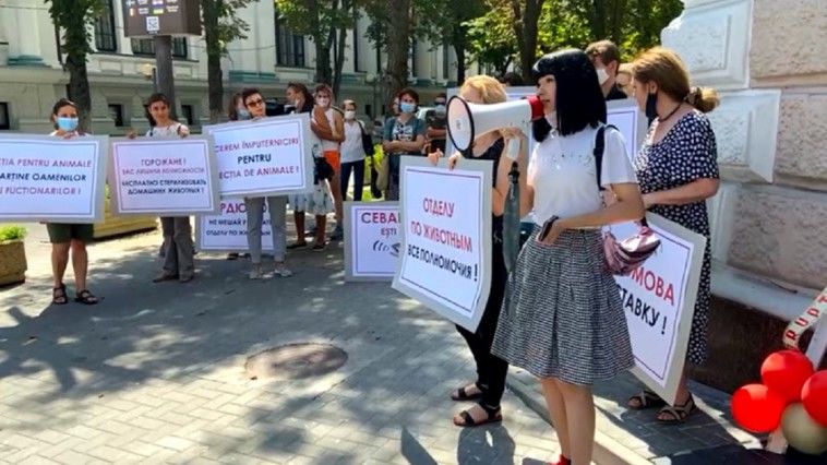 Начальник ГУЖКХБ: Моей отставки требует сотрудник Управления, желавший продвинуться по службе.