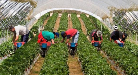 Moldovenii cu cetățenie română pot aplica la 600 locuri de muncă în UE