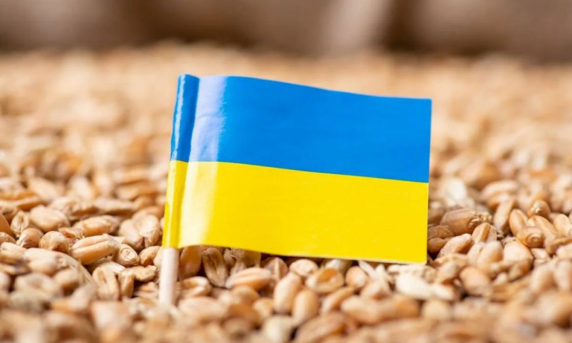 FT: Кремль изменил стратегию и хочет исключить Украину из мирового рынка зерна.