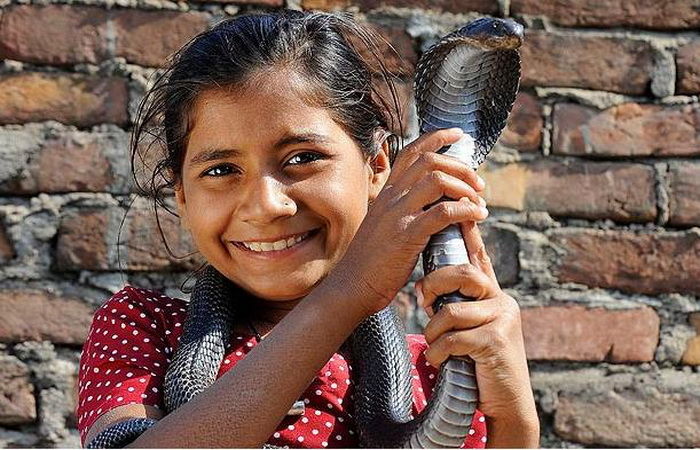 O copilă de 11 ani din India locuieşte cu cu unii dintre cei mai periculoşi șerpi de pe planetă.