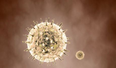 Alertă la Braşov, unde două persoane sunt suspectate că ar fi fost infectate cu virusul Zika.