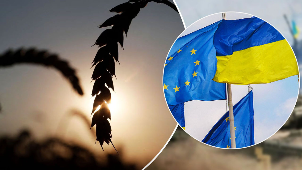 ЕС согласовал выплату €100 млн 5 странам, пострадавшим от наплыва зерна. Коллаж: 24tv.ua