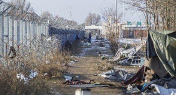 Gardienii de la frontiera Ungariei „îşi fac fotografii cu imigranţii bătuţi”.