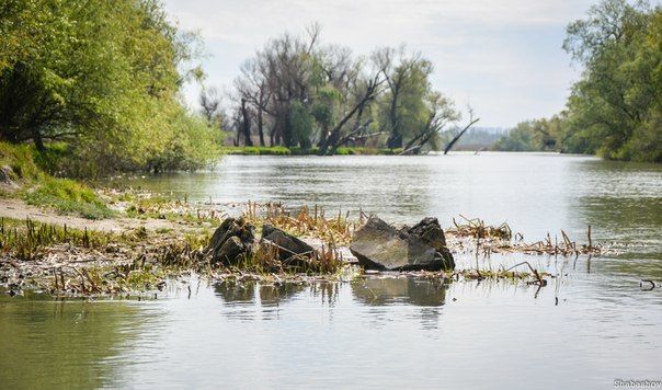 В дельте Днестра наблюдается катастрофически низкий уровень воды.