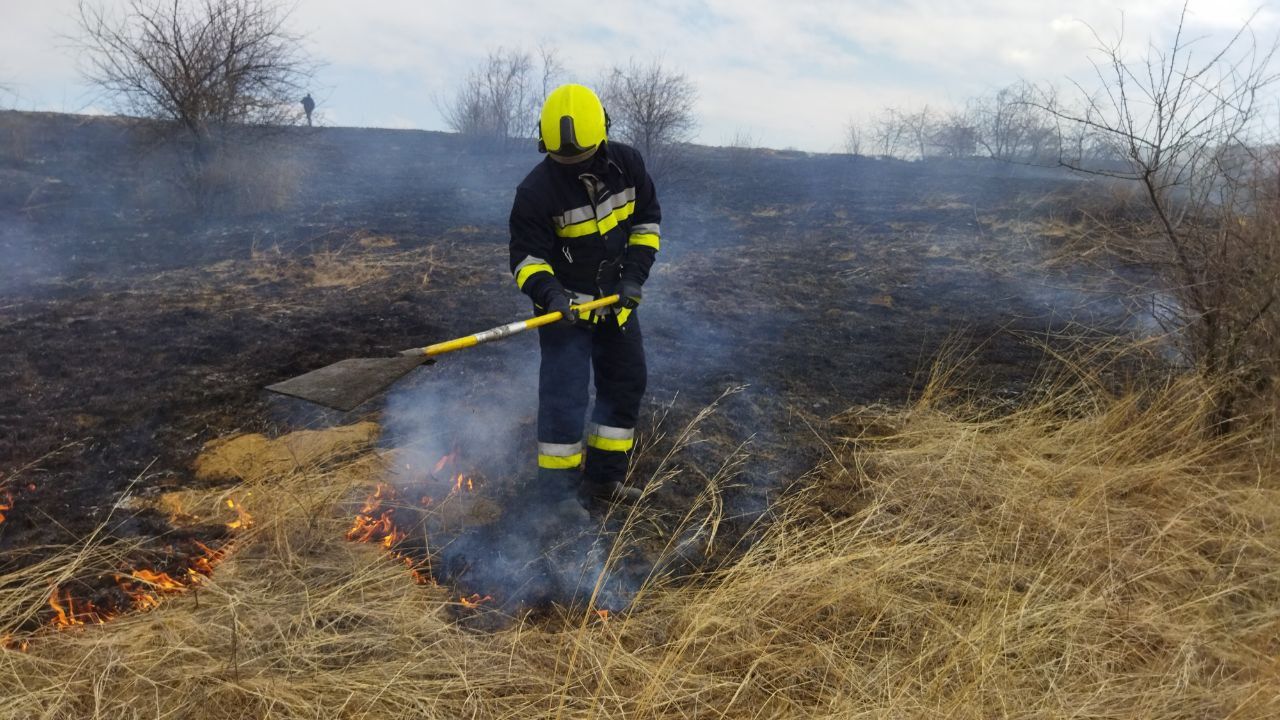 Пожарные Молдовы за сутки ликвидировали пожары на 1 600 га земли.