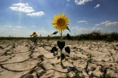 Аналогичная засуха отмечалась в 2007 году. 