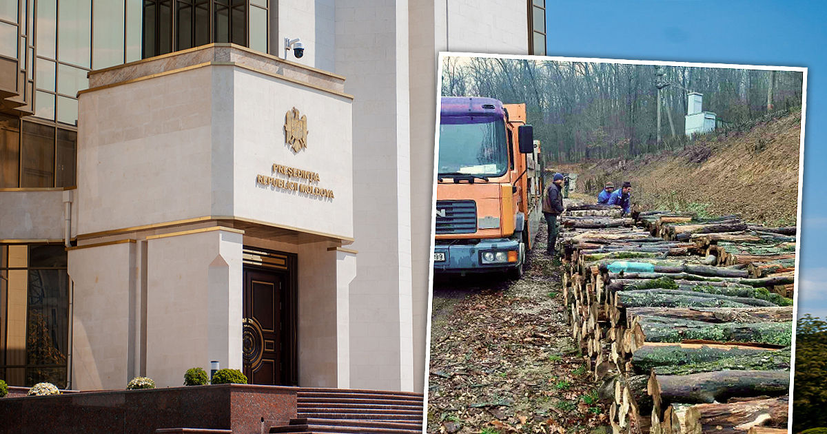 Президентура подарила 117 складометров дров гимназии в Леова.