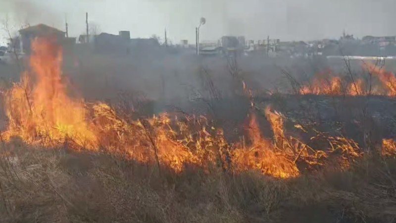 Возле "Арена Кишинев" загорелась сухая растительность.