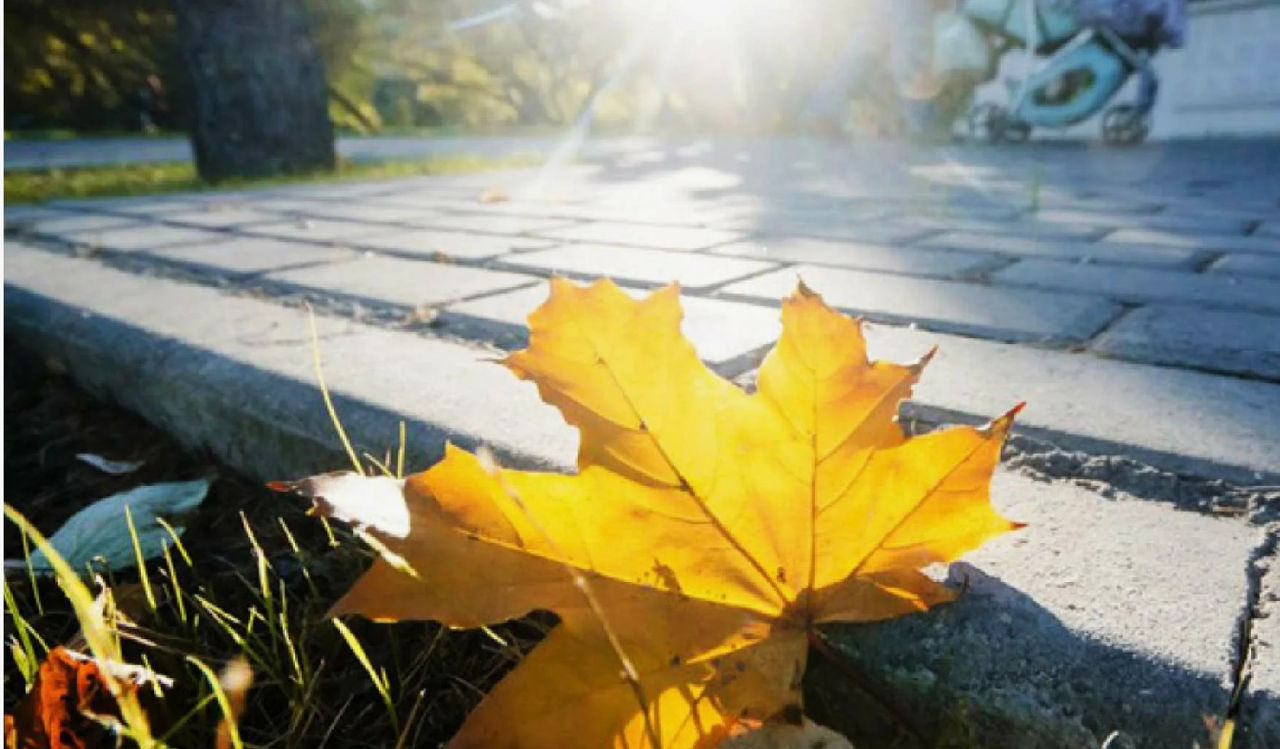 Vremea în weekend va fi stabilă în Moldova: Temperaturile vor ajunge la +31°C.