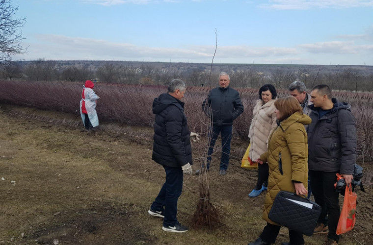Результаты исследований послужат консультативной основой для экспорта посадочного материала садовых культур в РФ.
