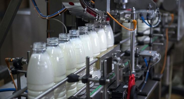Noi cerințe la importul produselor lactate din Ucraina