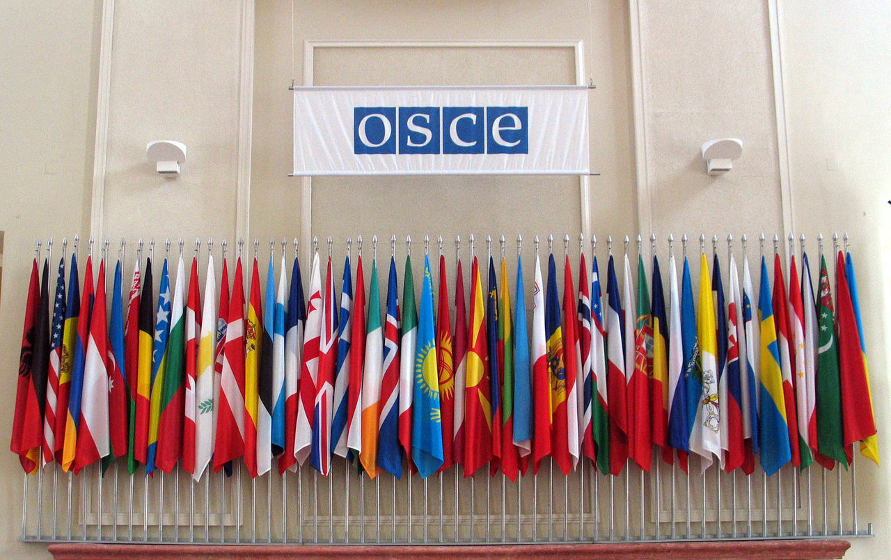 OSCE și Rusia au criticat proclamarea noului stat Mica Rusie în estul Ucrainei. Foto: osce.org