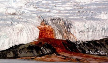 Misterul „cascadelor de sânge” din Antarctica, elucidat de oamenii de știință. Foto: Science Alert
