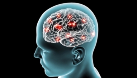 Ani de zile, neurologii nu au ştiut dacă este posibil că neuronii umani să se regenereze sau să apară noi celule cerebrale.