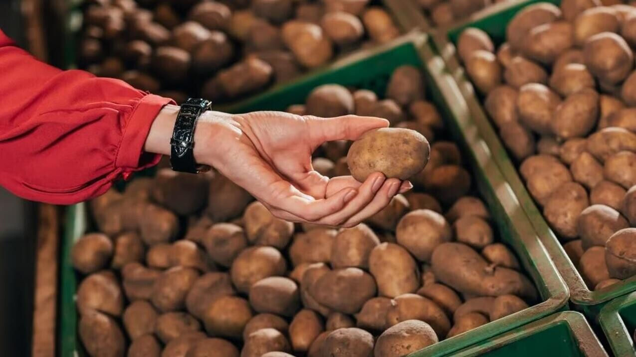 Moldova a devenit cel mai mare cumpărător de cartofi ucraineni: Peste 58% din exporturi.