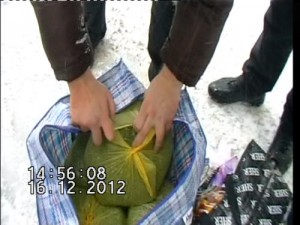 Кадр оперативной съёмки МВД