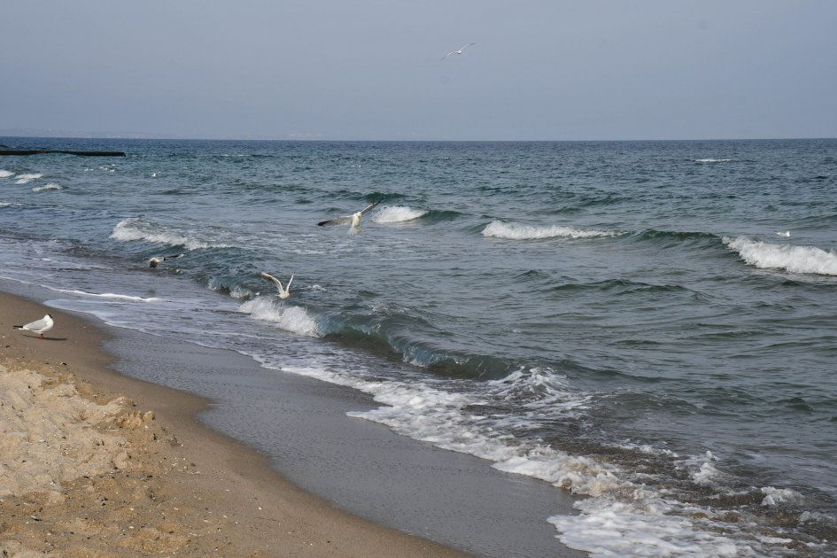На некоторых пляжах Одессы и Одесской области зафиксировали опреснение воды. 